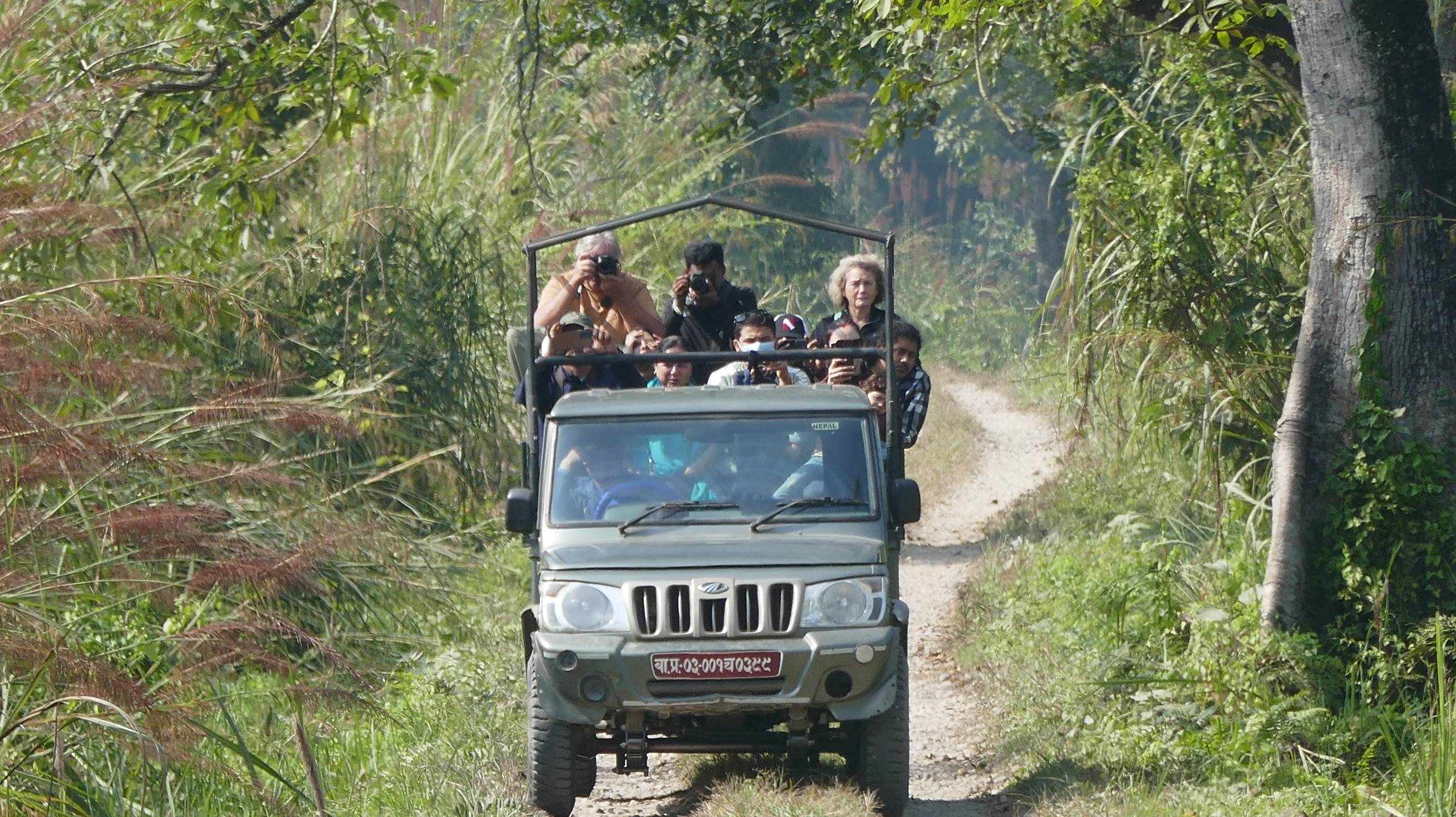 Jeep Safari